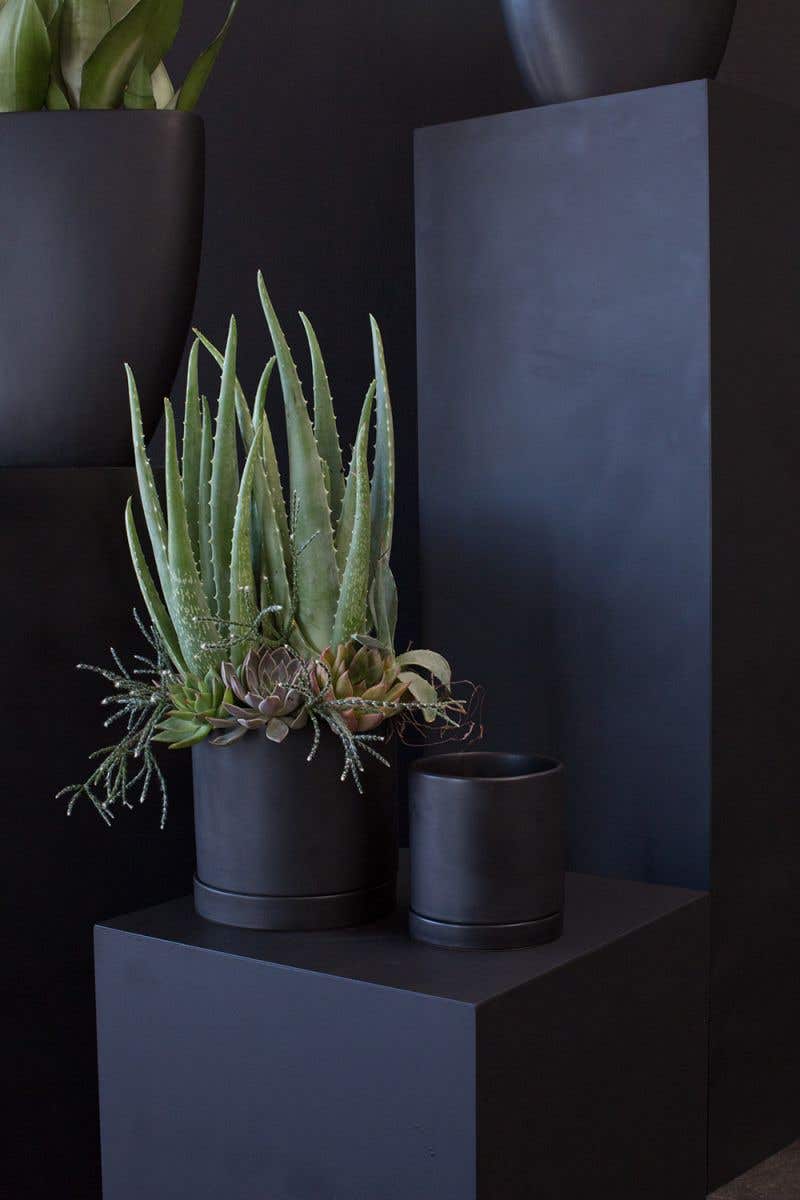 Black Romey Pot