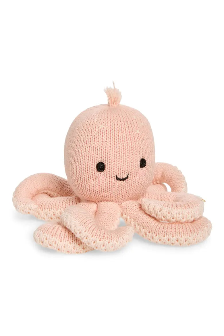 baby octopus
