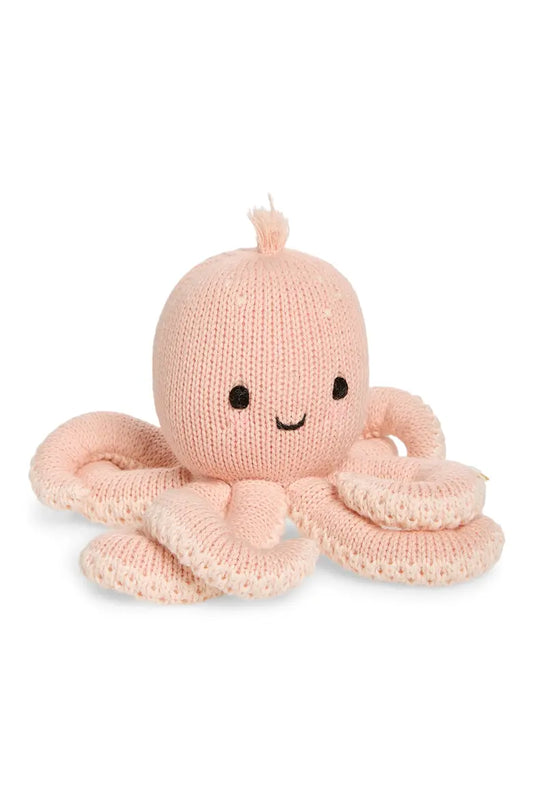 baby octopus