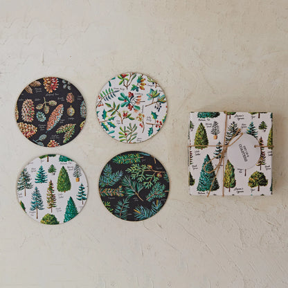 Recycled Paper & Cardboard Coasters w/ Botanicals