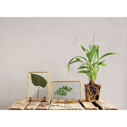 Brass & Glass Photo Frame