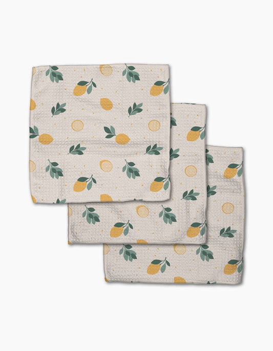 Freshly Picked Dishcloth Set