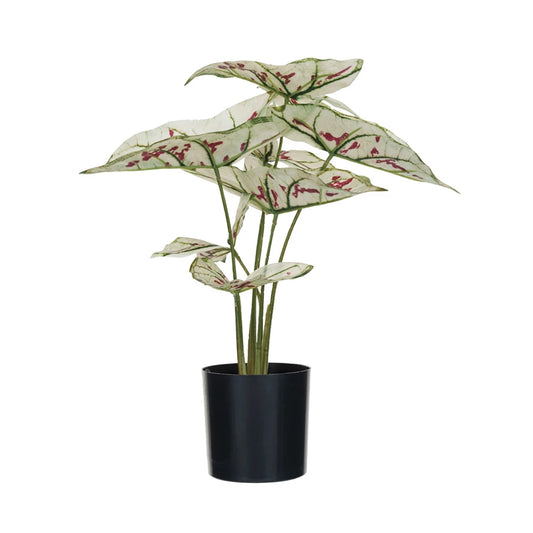 Faux Caladium Plant