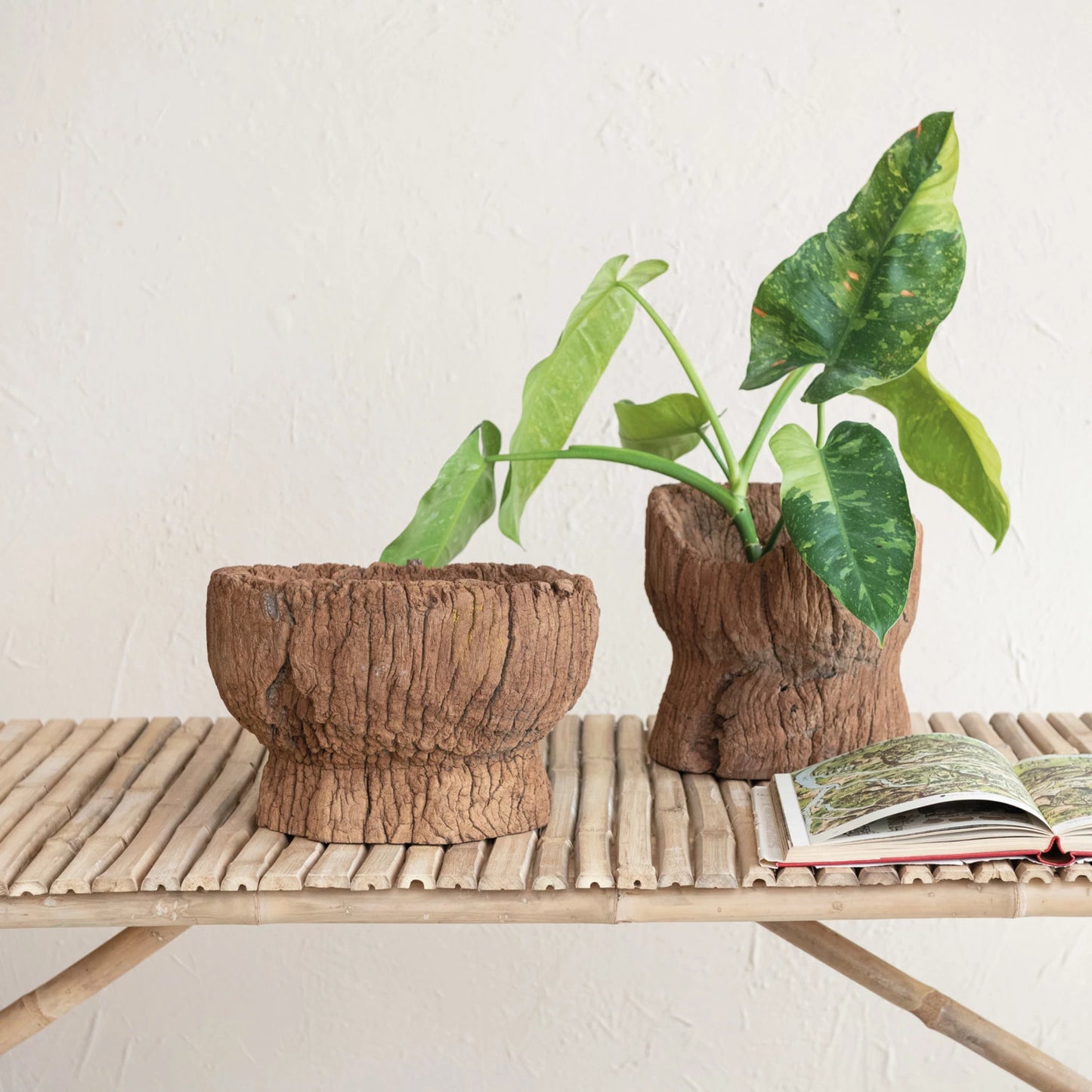 Carved Wood Planter Bowl