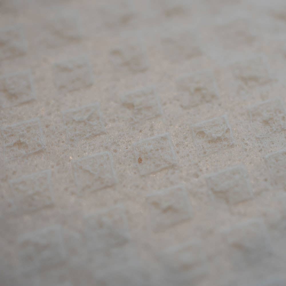 Home Sweet Home Swedish Dishcloth
