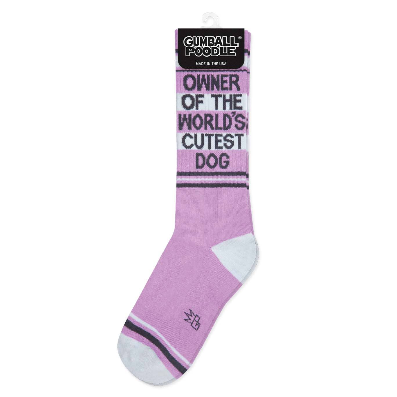 Owner Of The World's Cutest Dog Crew Socks