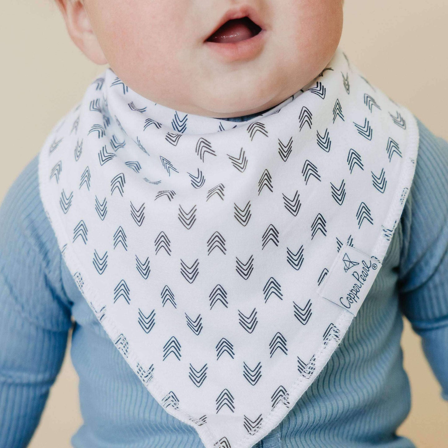 Alta Bandana Bibs