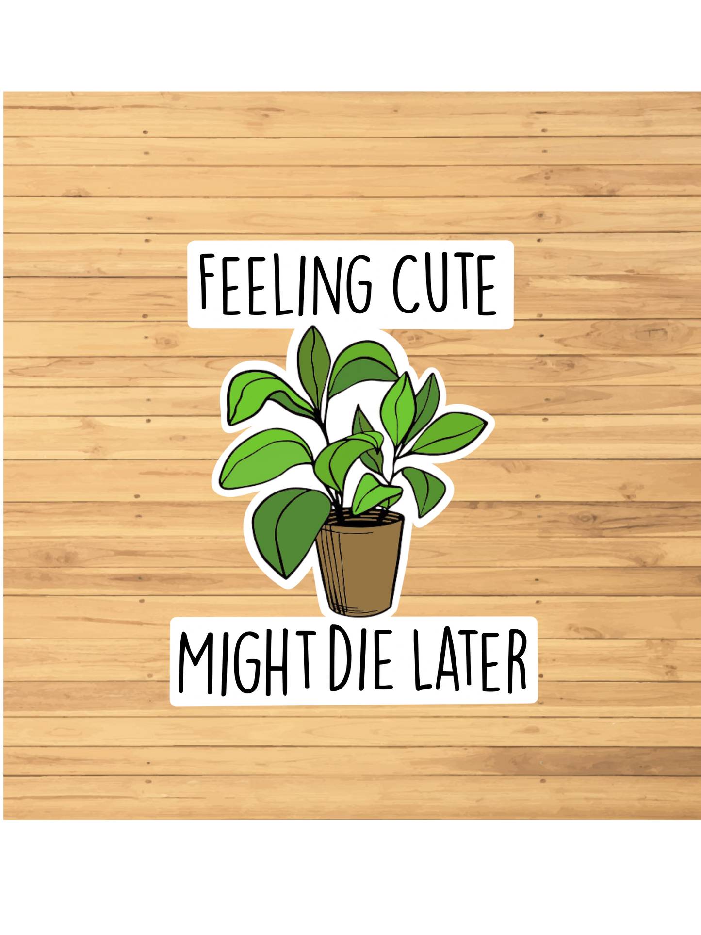 Feeling Cute Might Die Later
