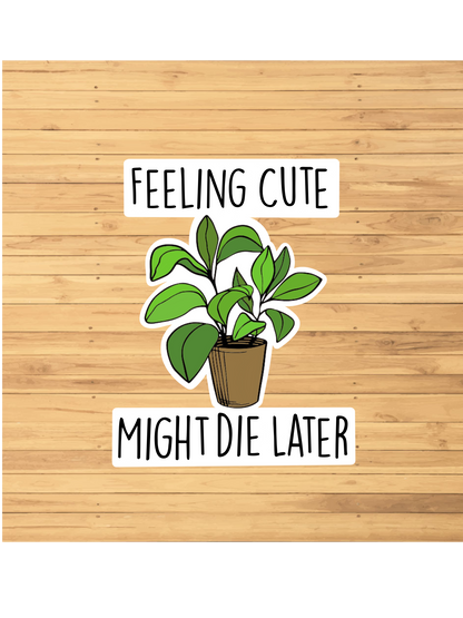 Feeling Cute Might Die Later