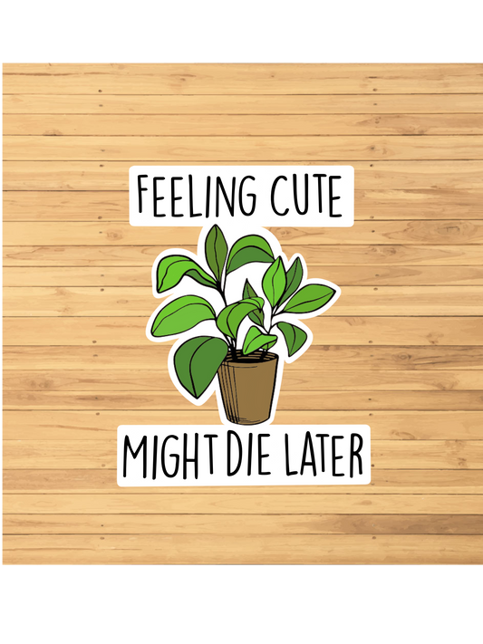 Feeling Cute Might Die Later