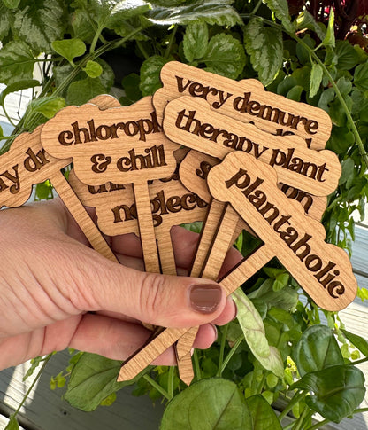 Therapy Plant Plant Stake