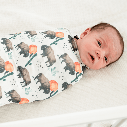 Bison Swaddle Blanket