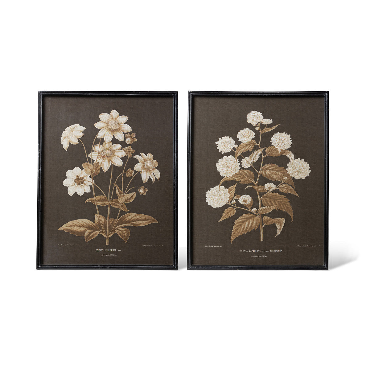 Garden Floral Botanical Framed Prints