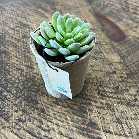 Faux Succulent