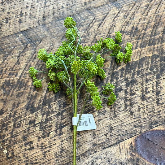 Sedum Floral Pick