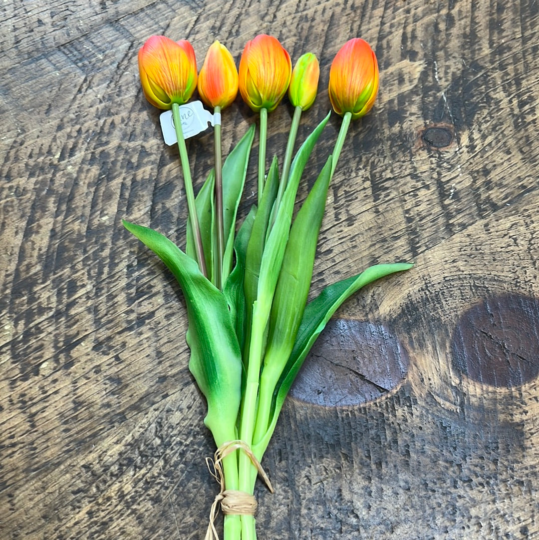 Orange tulip bundle of 5
