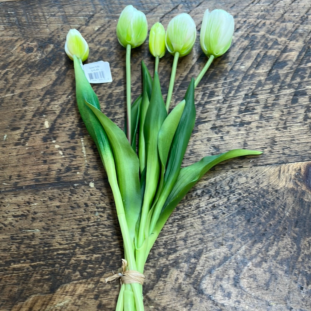 Green tulip bundle of 5