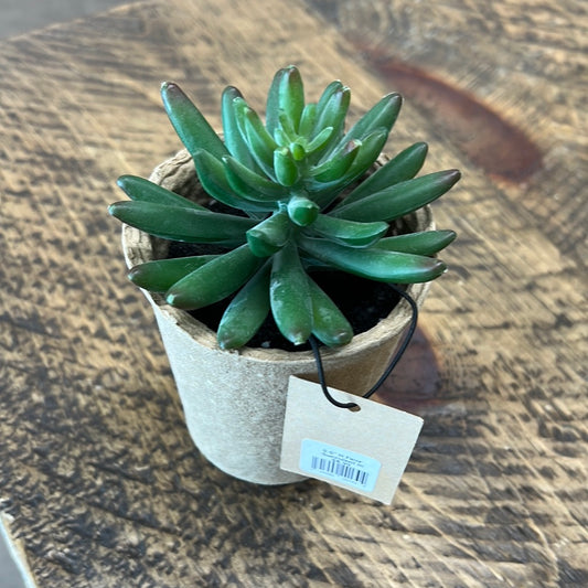 Faux Succulent