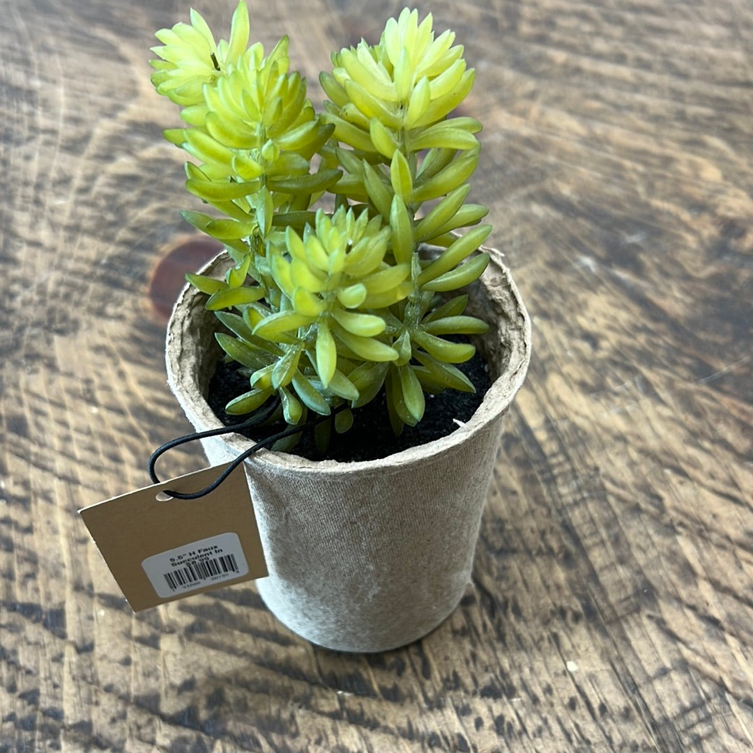 Faux Succulent