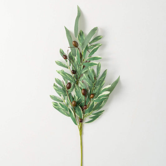 Olive Leaf Spray