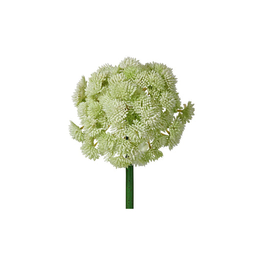 Sedum Ball Pick