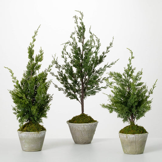 Faux Dwarf Cedar Tree