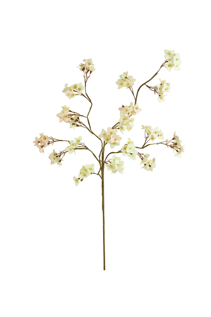 White Floral Botanica
