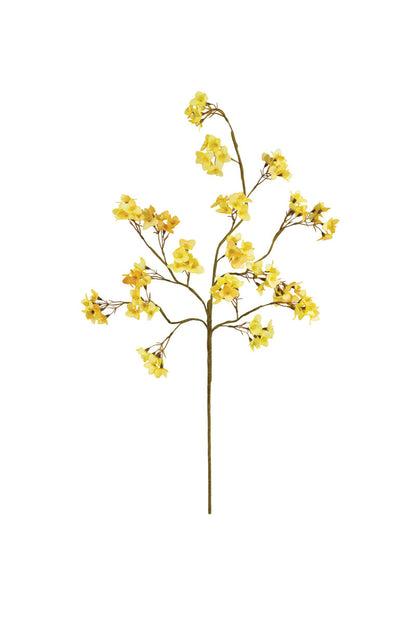 Yellow Botanica
