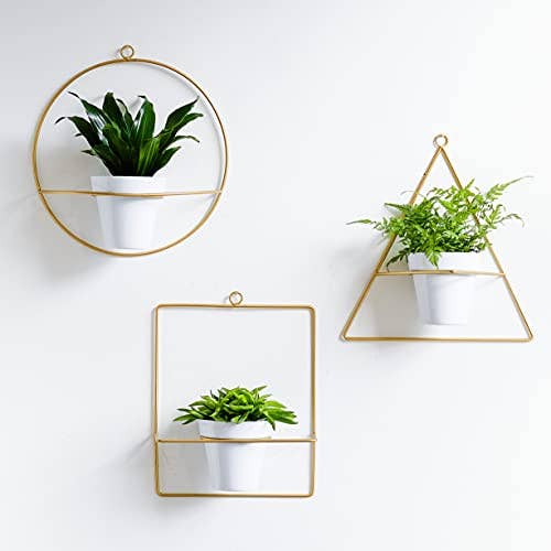 Gold Wall Hanging Planters