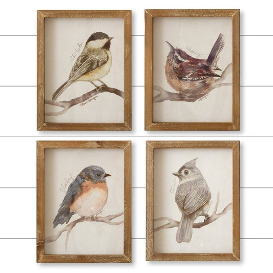 Bird Framed Prints