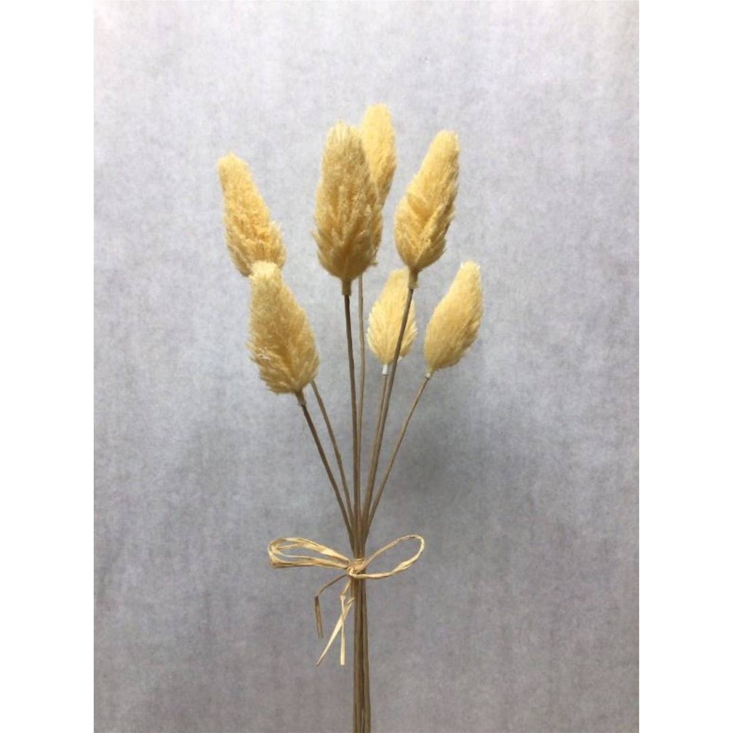 Yellow Amaranth Pick Bundle